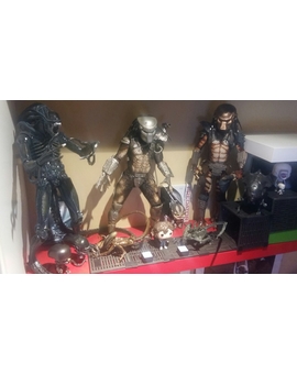 La Familia Alien y Depredador van creciendo