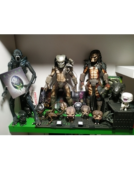 Aliens y Predators