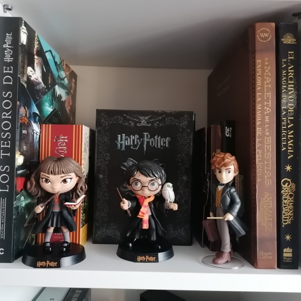Mi zona Wizarding world