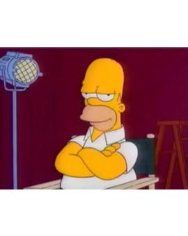 Homer Crítico