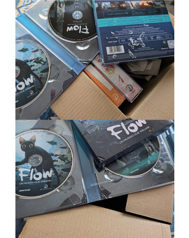 Flow está gafada, no quiere venir a casa enterita.