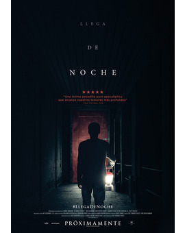 Llega de noche. ¿Alguien la ha visto?¿Que tal está?