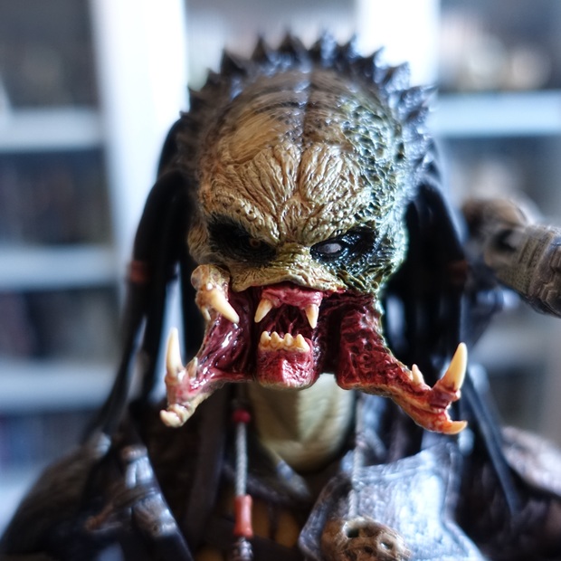 Cleaner Kit Predator [Hot Toys] AVP 2