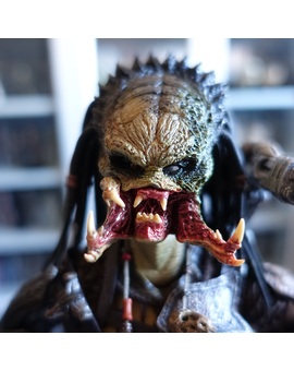 Cleaner Kit Predator [Hot Toys] AVP 2