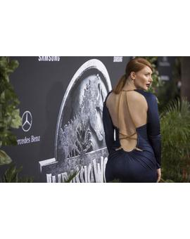 ¿Creeis que fue un acierto la elección de Bryce Dallas Howard para Jurassic World?