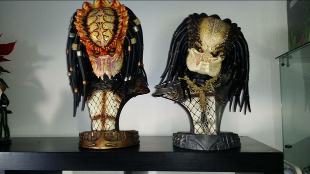 mi colección aumenta poco a poco