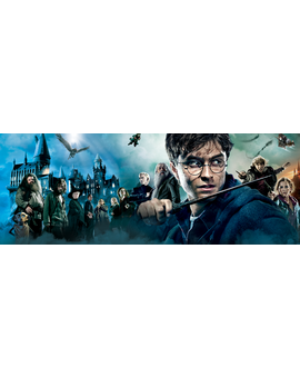 Mañana se estrena #AnimalesFantasticosYDondeEncontrarlos. CUAL ES VUESTRA FAVORITA DE HARRY POTTER?