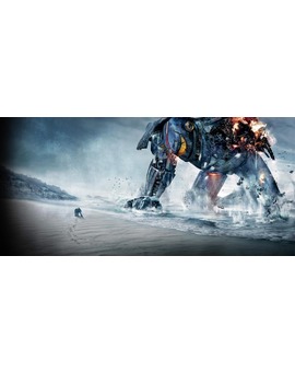 Pacific Rim playa