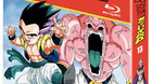 Box-13-dragon-ball-z-c_s