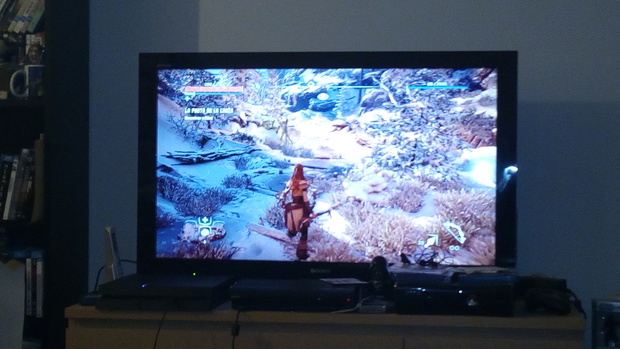 Horizon Zero Dawn