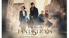 Analisis-animales-fantasticos-y-extras-c_s