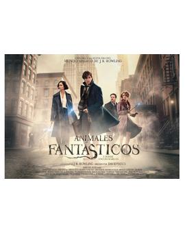 Análisis Animales Fantásticos y Extras
