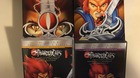 Vendo-coleccion-thundecats-c_s
