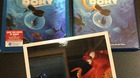 Finding-dory-con-litografia-exclusiva-del-club-disney-c_s