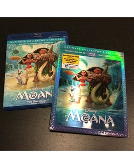 Moana acaba de llegar a casa