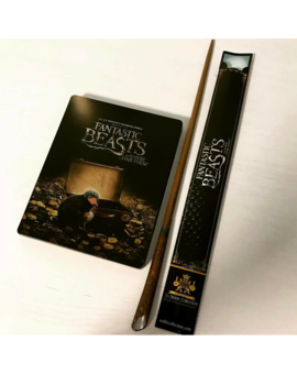 Fantastic Beasts and Where to Find Them