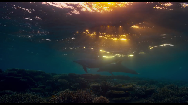 Disneynature's Dolphins - Trailer 