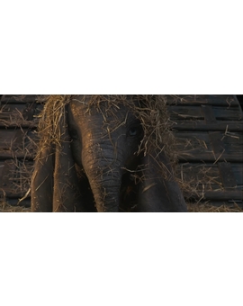 Dumbo - What is that?