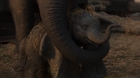 Arcade-fire-baby-mine-dumbo-c_s
