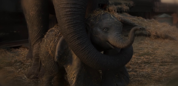 Arcade Fire - Baby Mine (Dumbo)