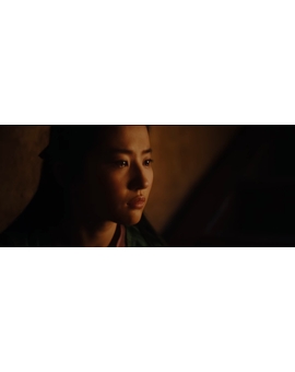 Mulan - Fight 