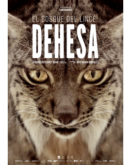 Dehesa, el bosque del lince ibérico