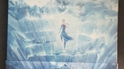 Frozen-ii-3d-steelbook-zavvi-c_s