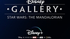 Disney-gallery-the-mandalorian-disney-c_s