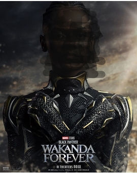 Black Panther: Wakanda forever