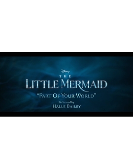 Part of your world - Halle Bailey (The little mermaid)