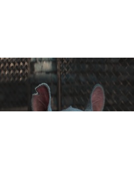 Experiment 626