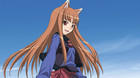 Coalise-estudio-licencia-spice-wolf-c_s