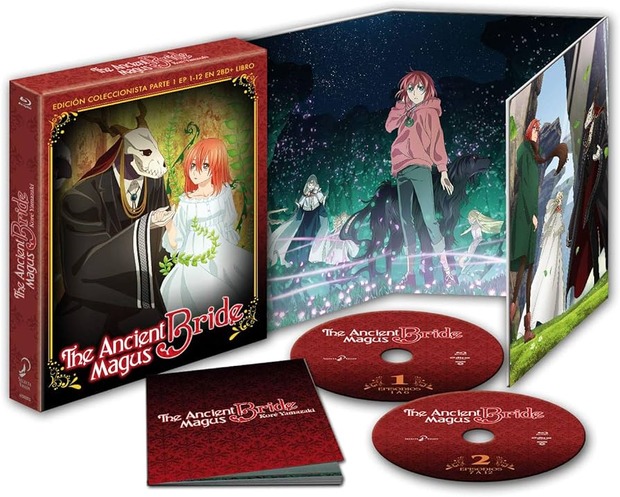 Selecta Visión no editará la segunda temporada de Ancient Magus Bride