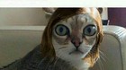 Para-los-fans-de-emma-stone-cat-stone-c_s