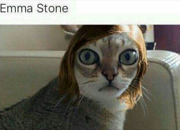 Para los fans de Emma Stone. Cat Stone