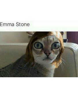 Para los fans de Emma Stone. Cat Stone