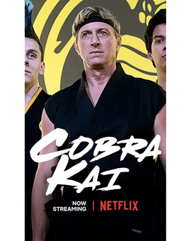 Que pedazo de serie