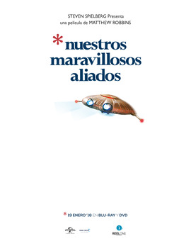 Nuestros maravillosos aliados