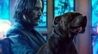 John-wick-y-su-perro-estan-de-vuelta-y-con-el-beneplacito-de-la-critica-c_s