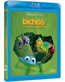 Duda sobre el BD de Bichos.