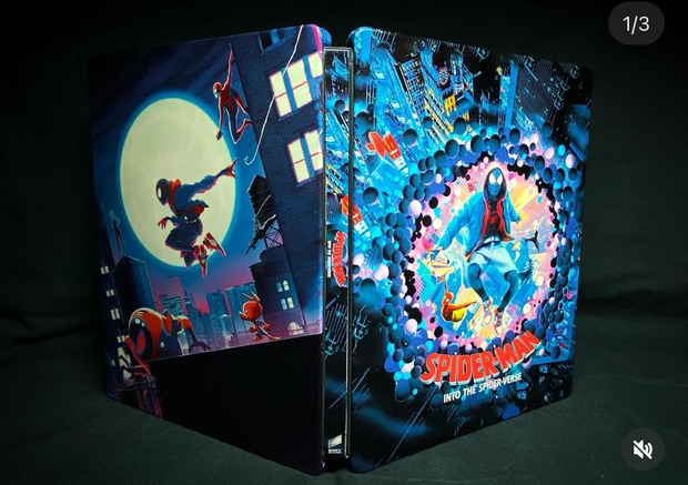 Spider-Man Into the Spiderverse. Custom steelbook by @mastersofsteel en Instagram