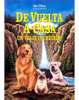 De vuelta a casa. Un viaje increíble 