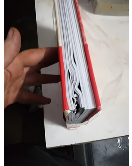 Un camión paso por encima de él o un roedor le pegó mordiscos,elegid vosotros que le paso