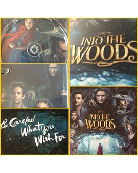 INTO THE WOODS STEEL DE ZAVVI