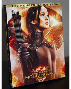 Custom slip Mockingjay pt1.