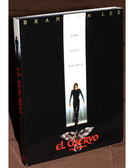 Custom slipcover El Cuervo