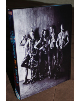 Slipcover custom Guardianes 2 trasera