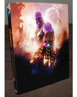 Custom slipcover Infinity War trasera