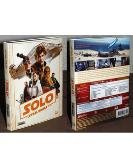 Custom Slipcover Han Solo