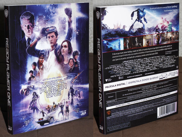 Custom Slipcover Ready Player One
